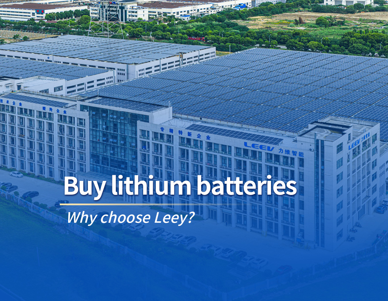 Buy lithium batteries Why choose Leey?